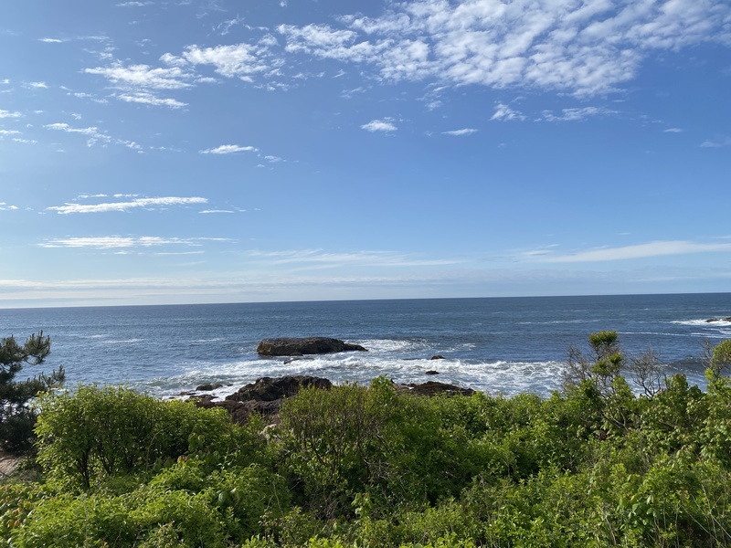 What a lovely ocean view